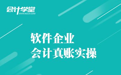 软件企业会计真账实操技巧教程哔哩哔哩bilibili