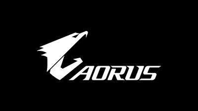 2018 企业慈善杯 team aorus