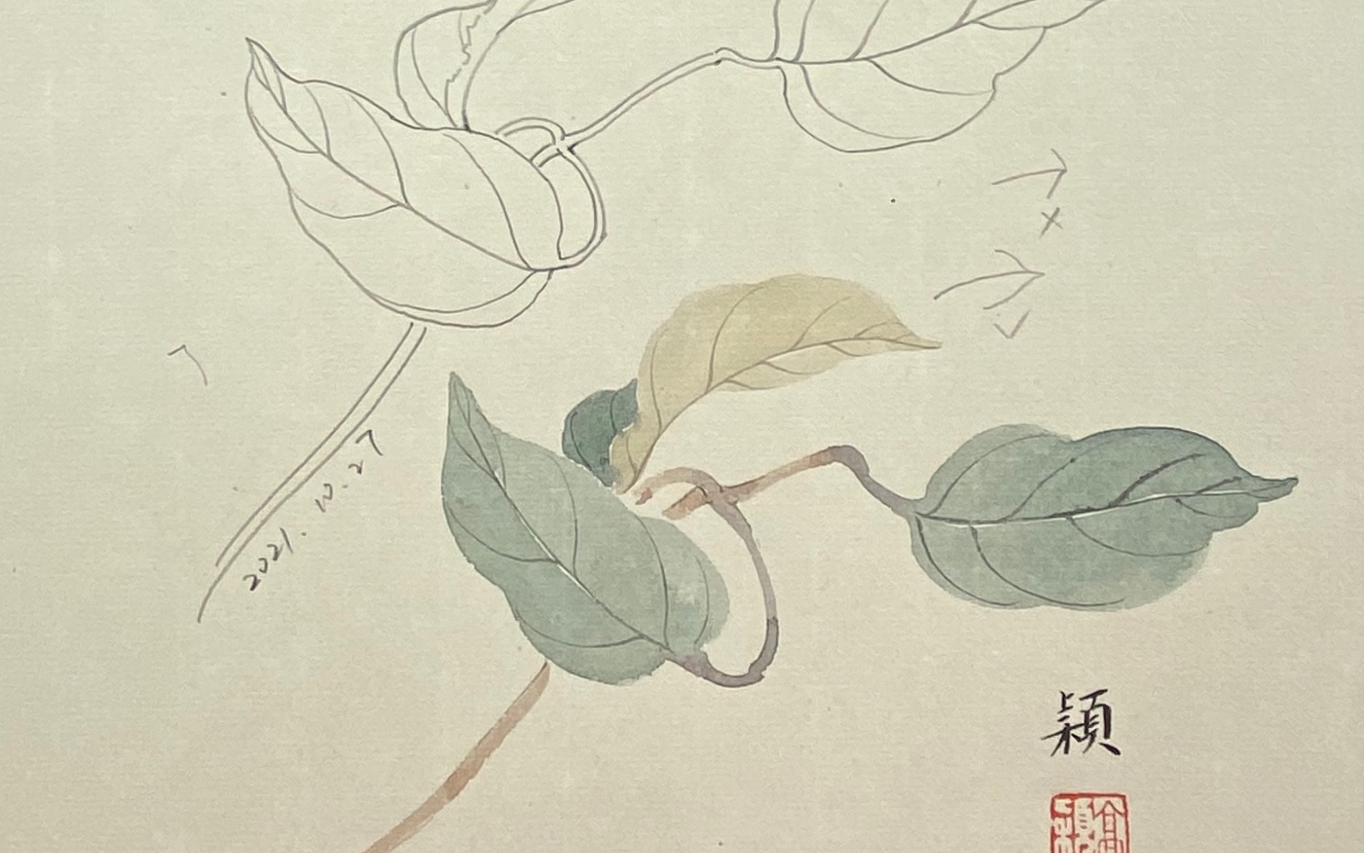 中国画—叶子的没骨画法_哔哩哔哩_bilibili