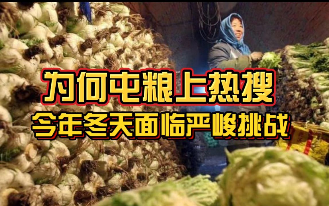 [图]为何屯粮屯菜上热搜？原来是因为今年冬天太难了！