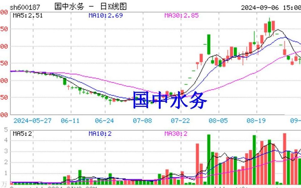 国中水务多期财报重大遗漏共被罚2375万,股民维权胜率高哔哩哔哩bilibili