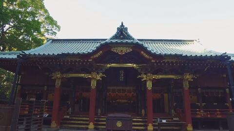 超清日本 漫步东京都 文京区 根津神社杜鹃花节19 5 哔哩哔哩 Bilibili