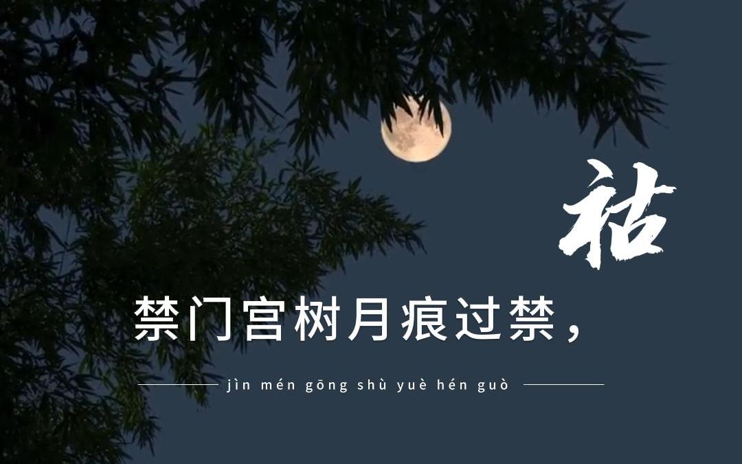 [图]诗绝美，意哀怜。《赠内人》——张祜