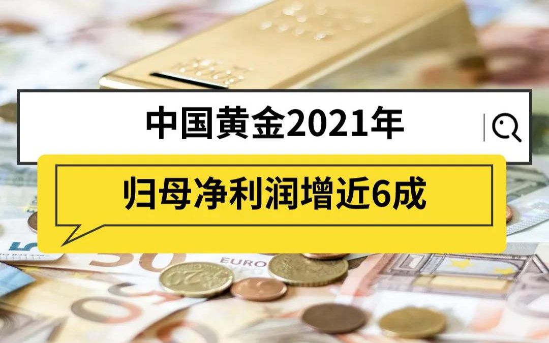 中国黄金2021年 归母净利润增近6成哔哩哔哩bilibili