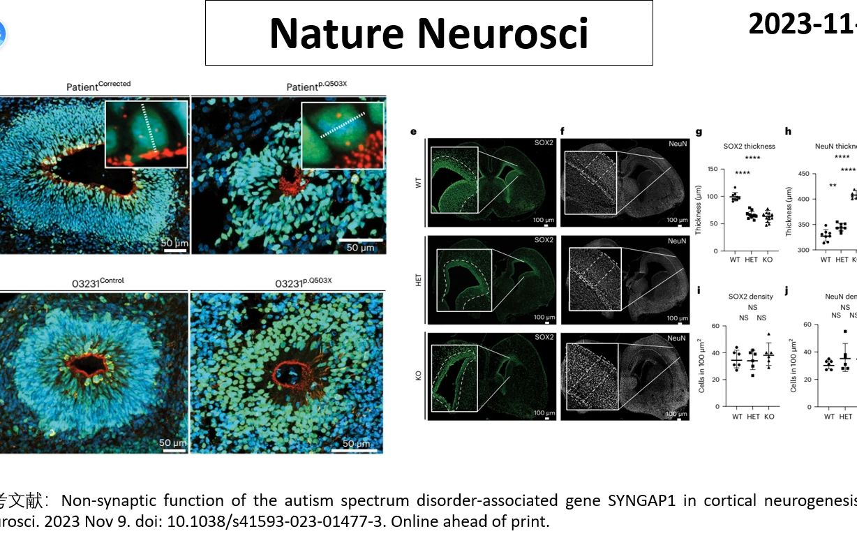 Nature Neurosci—基因变异如何引起自闭症哔哩哔哩bilibili