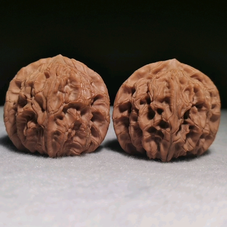 秦岭野生公子帽