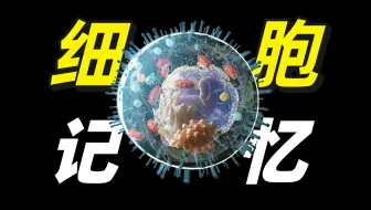 颠覆神经科学的发现！「身体」和「大脑」关系的进一步认知！