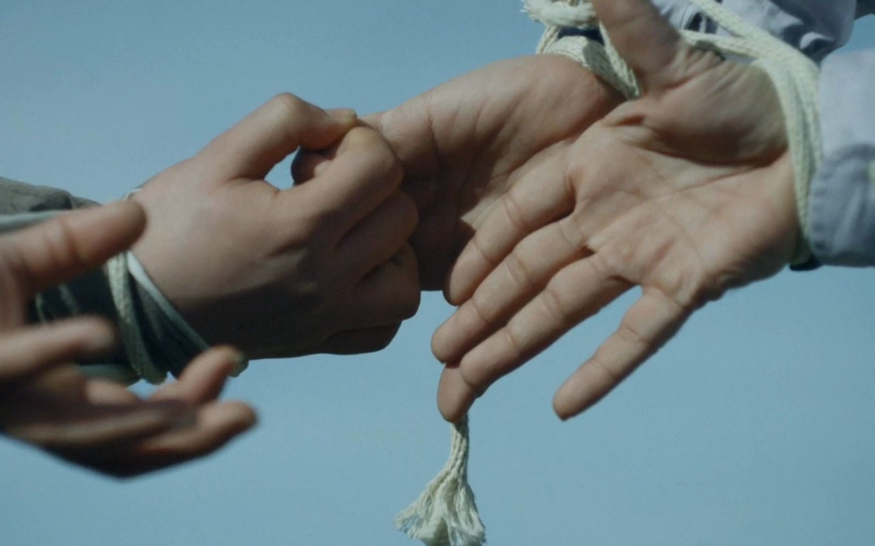 【翅膀/胡尔希德之翼】我们的爱,化作翅膀,飞向天际