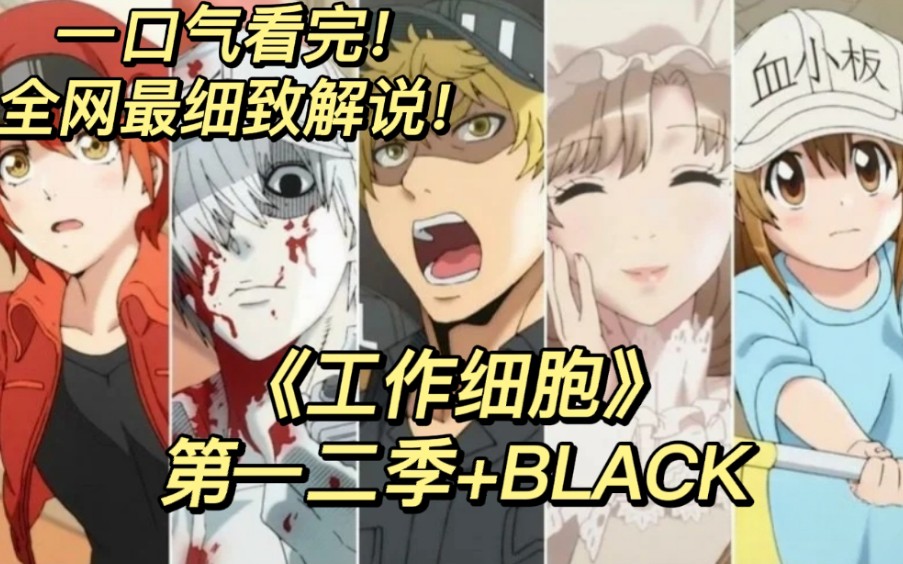 [图]一口气看完《工作细胞1-2季＋black》体会细胞们不为人知的故事。希望大家喜欢！三连支持一下！