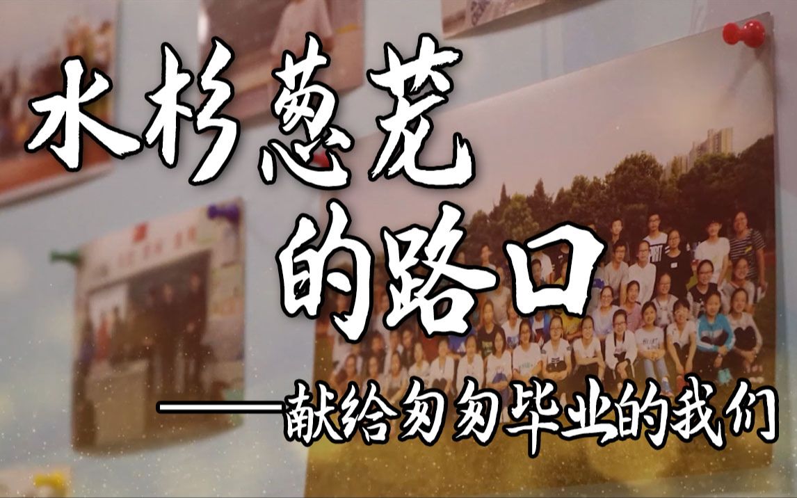 [图]【歌曲改编】《水杉葱茏的路口》献给2018~2021年一同走过的你我