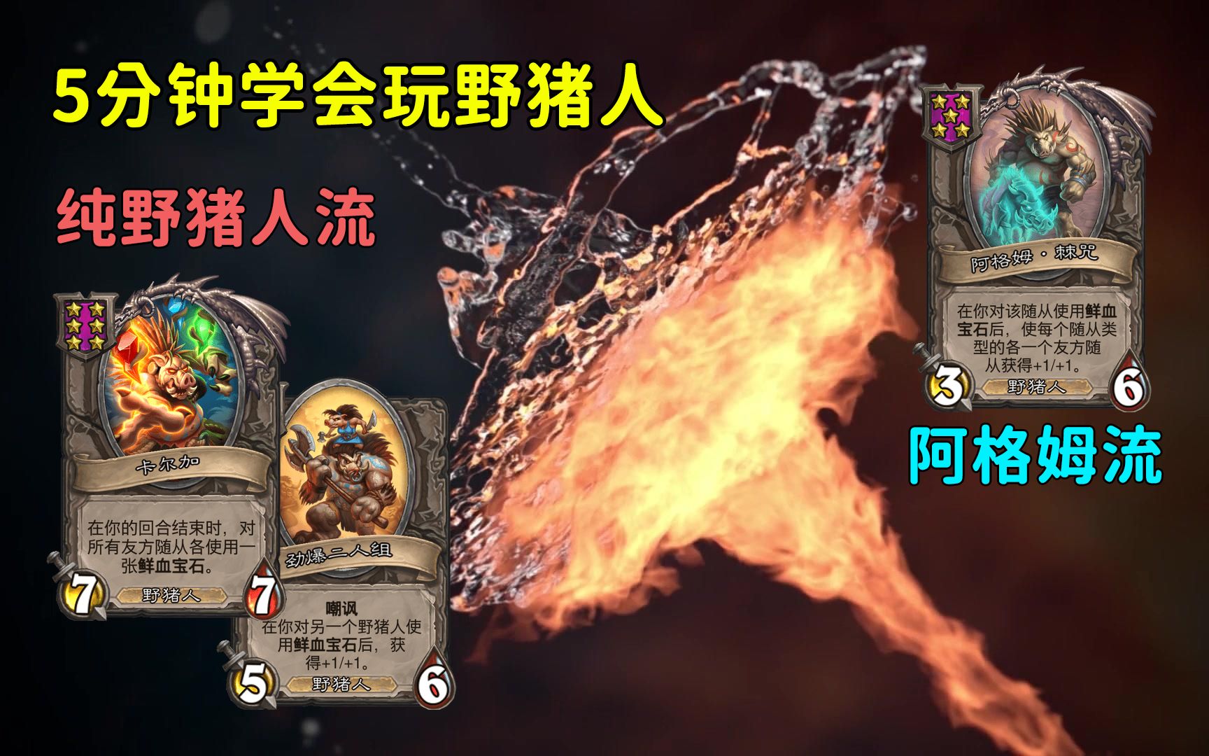 酒馆战棋5分钟学会玩野猪人必削快学