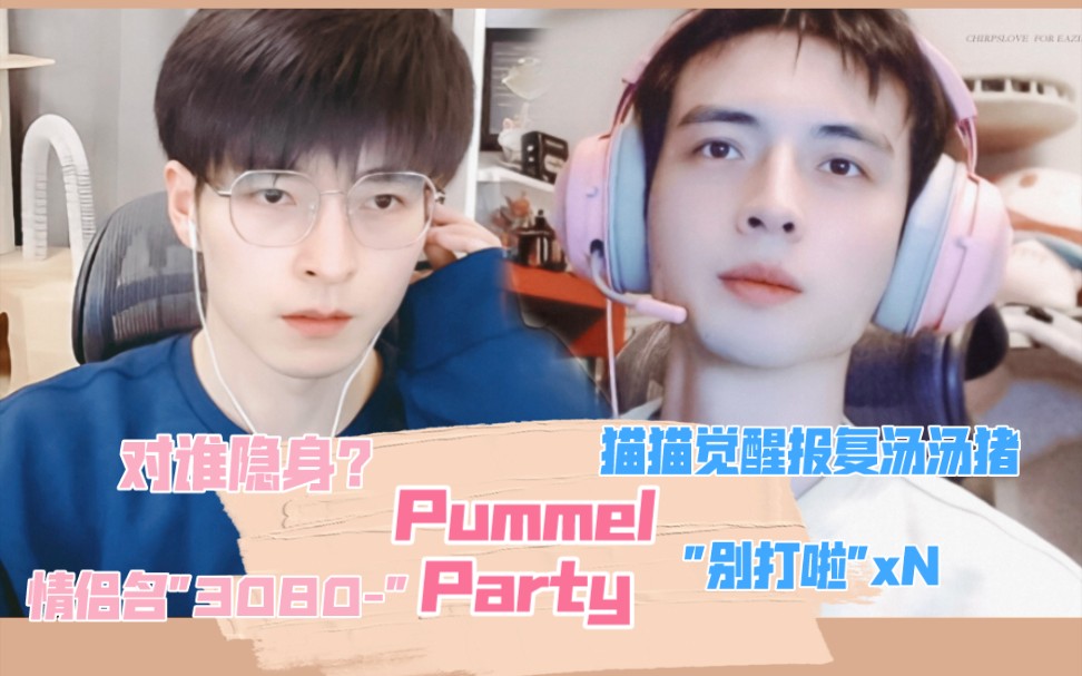 【南北cp/220406】情侣名?限定隐身?“别打了”洗脑 | 聒噪的Pummel Party(双视角轮换 全程)哔哩哔哩bilibili