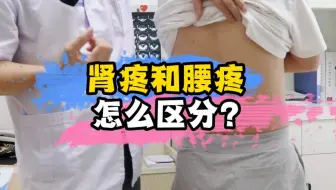 你到底是肾疼还是腰疼，一个视频教你高效区分！