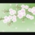 【GUMI】桜花片