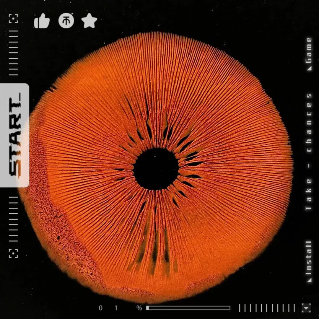 【乔子龘】我的最新作品,快来一睹为快!