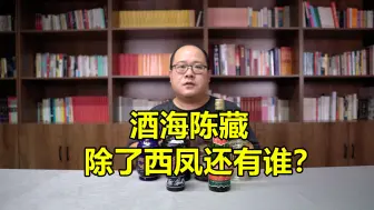 Download Video: 酒海存酒，除了西凤还有谁？