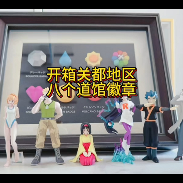 开箱宝可梦关都地区八个道馆徽章+相框_哔哩哔哩_bilibili
