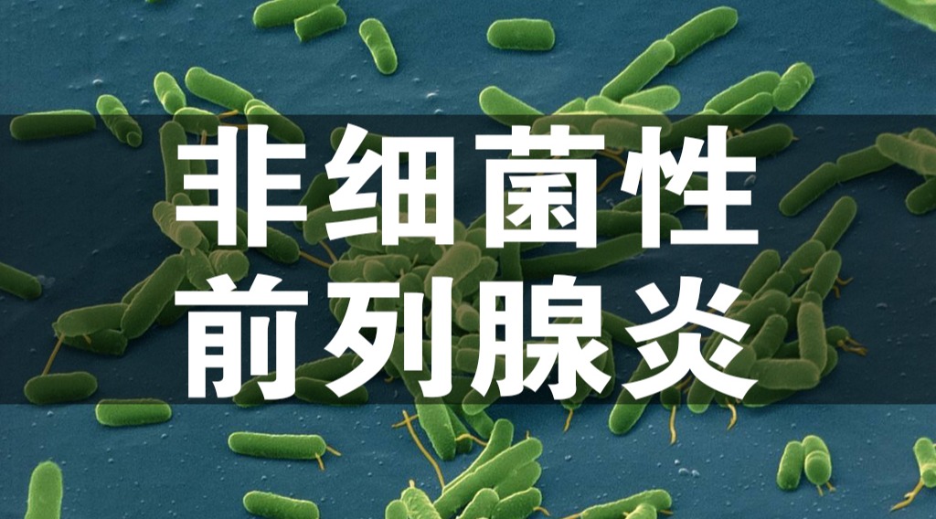 潘医生:西医如何理解,慢性非细菌性前列腺炎的发病原因?