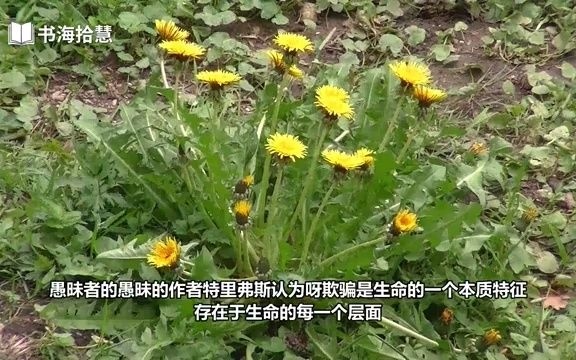 [图]好书解读：《愚昧者的愚昧》 作者-美-罗伯特·特里弗斯 【书海拾慧】