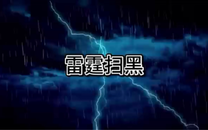 雷霆扫黑百日行动哔哩哔哩bilibili