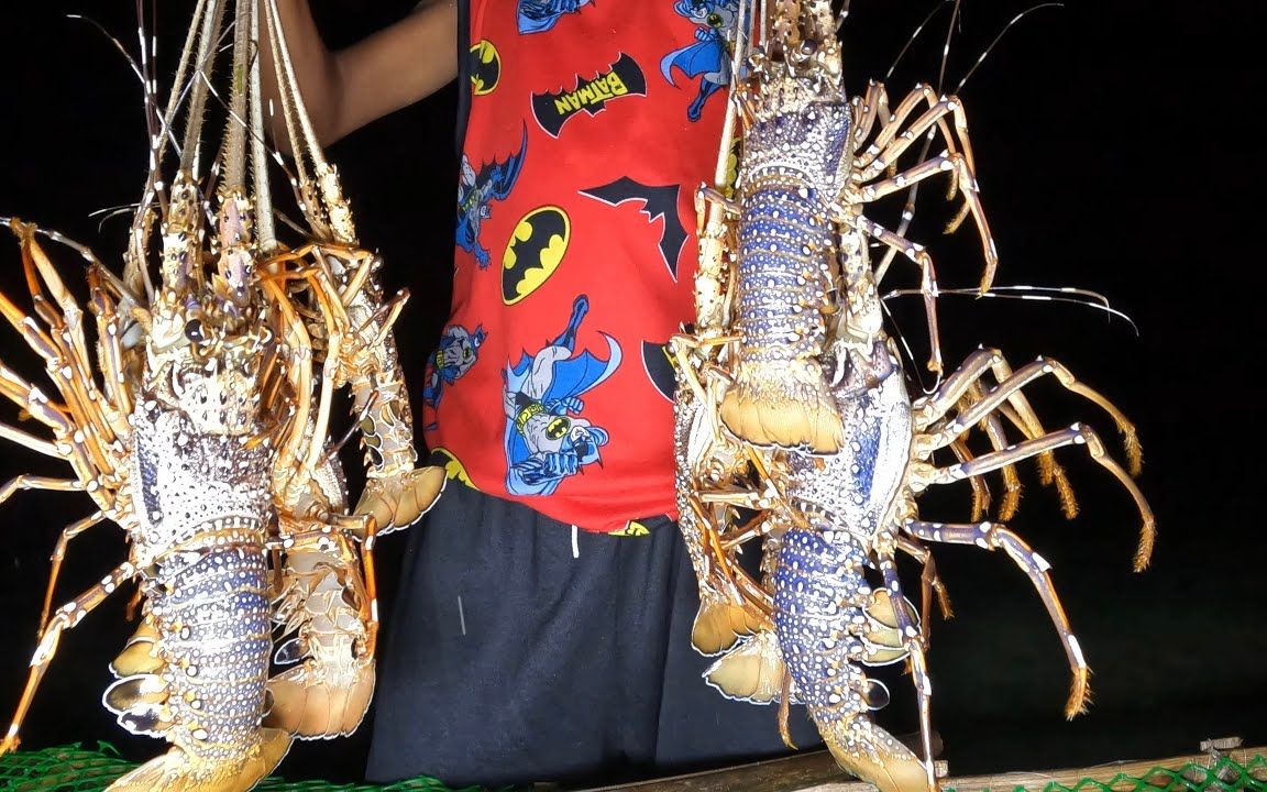 印尼赶海深夜抓龙虾,落大潮搁浅水坑水草里货真多,大家见识一下