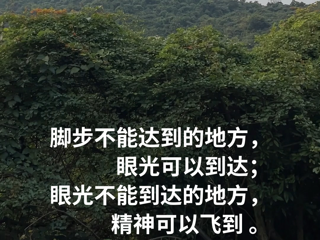 脚步不能达到的地方,眼光可以到达;眼光不能到达的地方,精神可以飞到 .(雨果)哔哩哔哩bilibili