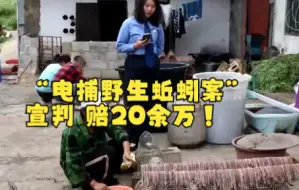 Tải video: “电捕野生蚯蚓案”宣判 赔20余万！