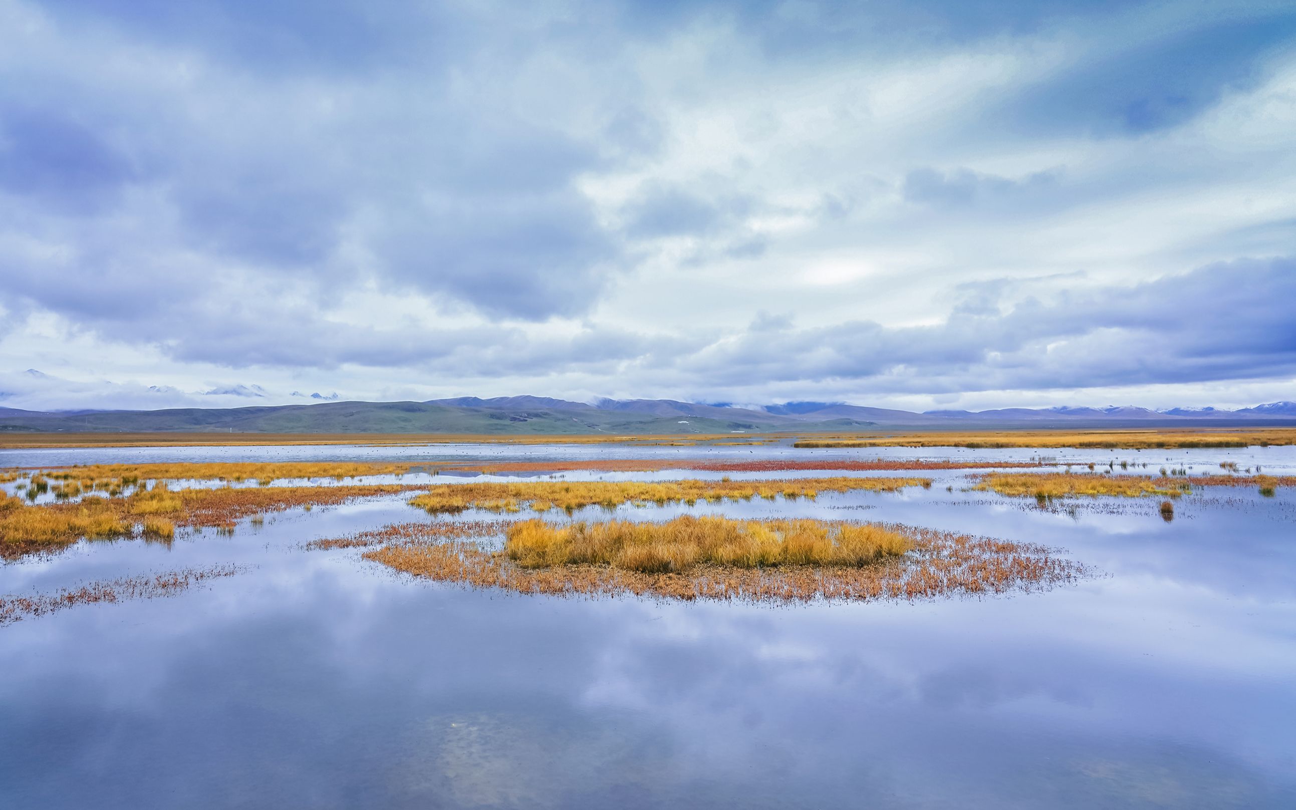 甘南游诺尔盖花湖