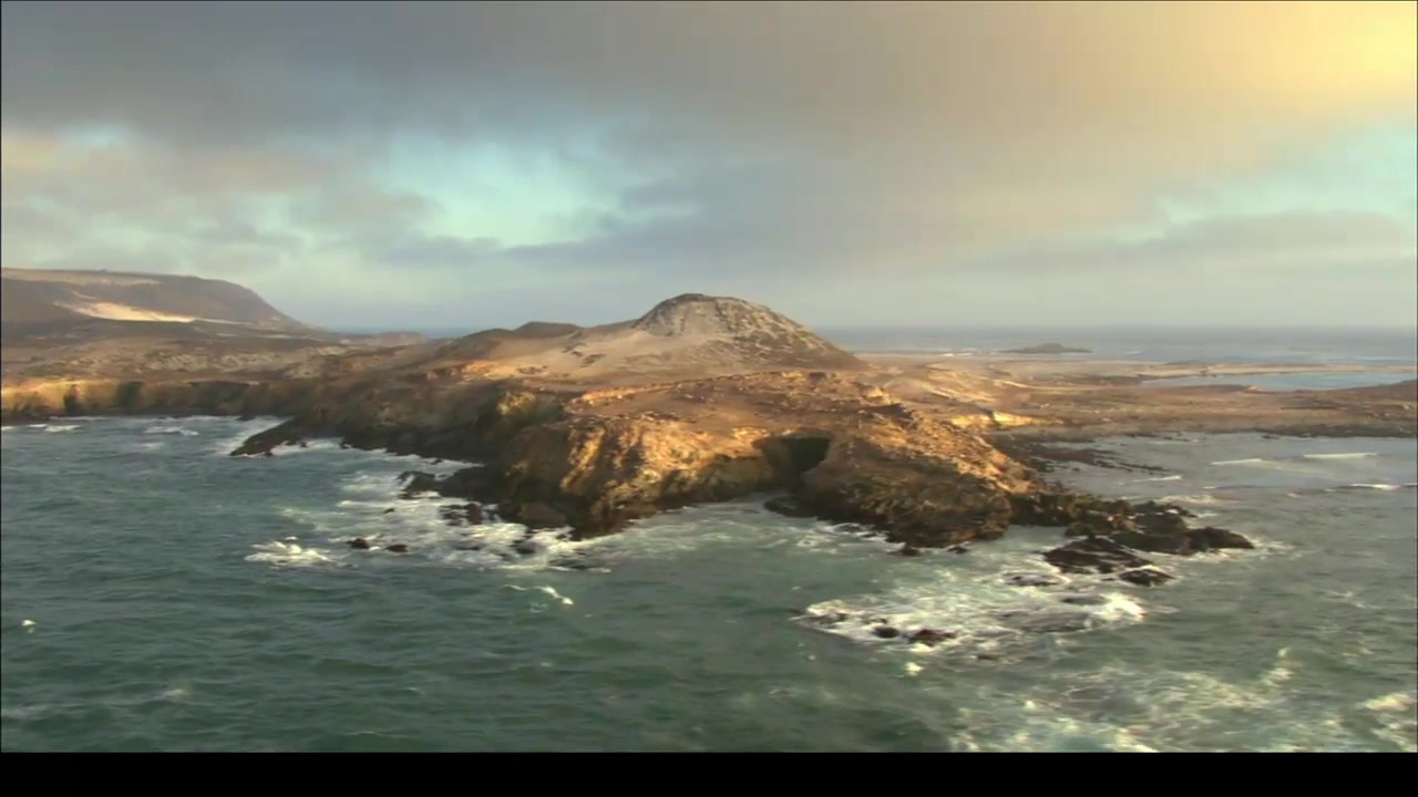 海峡群岛国家公园 Channel Islands National Park Treasure in the Sea哔哩哔哩bilibili