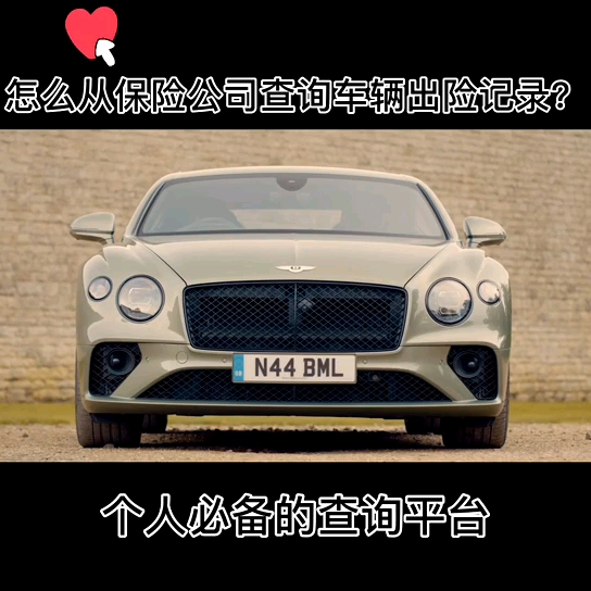 怎么从保险公司查询车辆出险记录?哔哩哔哩bilibili