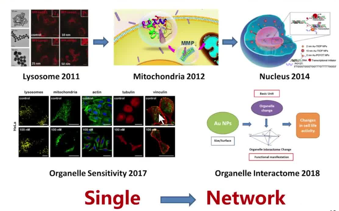 20220820国家纳米科学中心梁兴杰Matching the physichemical characterizations of nanostr...哔哩哔哩bilibili