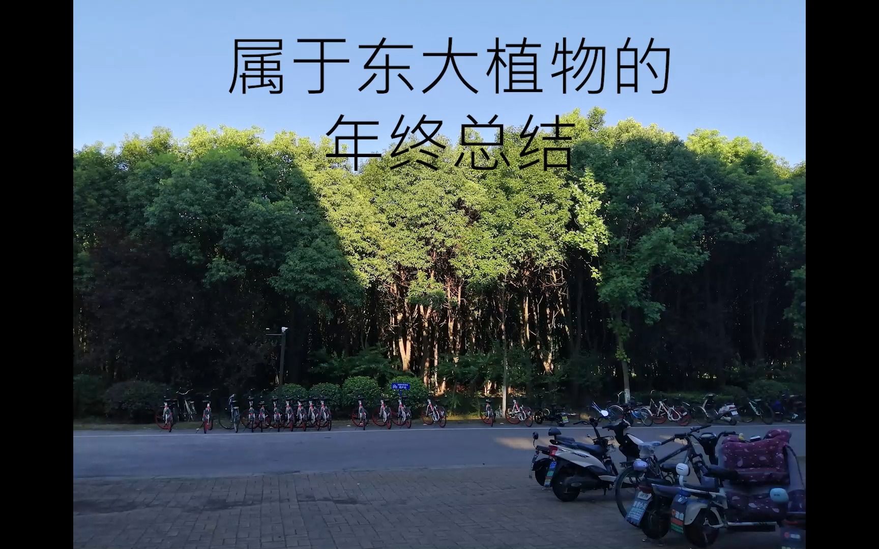 [图]2022：属于东大植物的十二个月