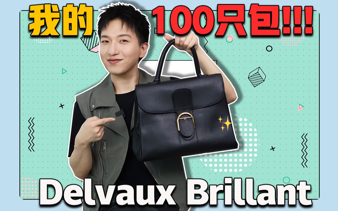 我的100只包|04 Delvaux Brillant哔哩哔哩bilibili