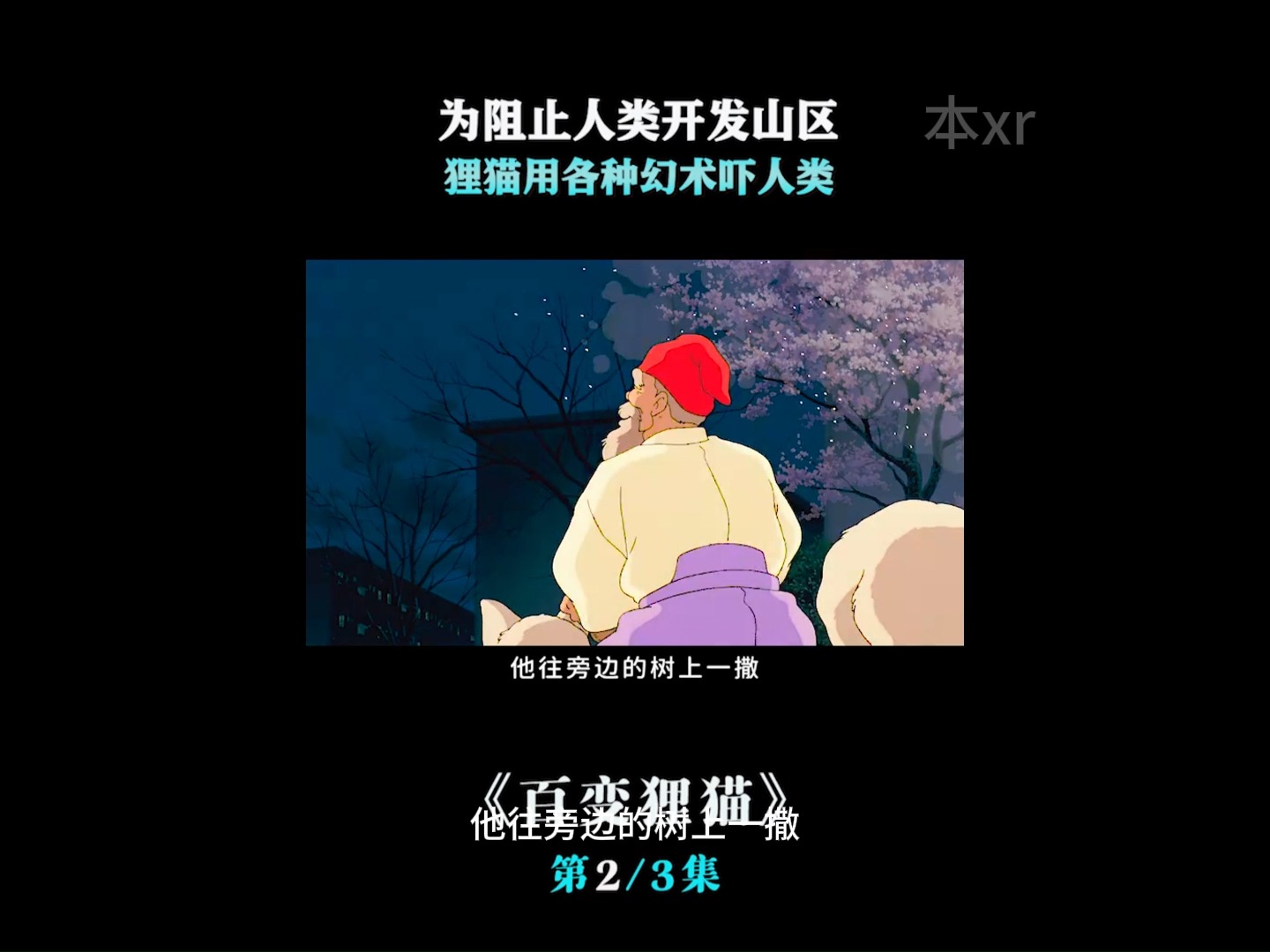 百变狸猫