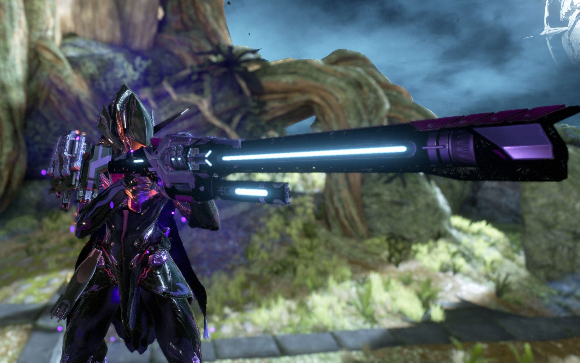 warframe电男蝶妹配色