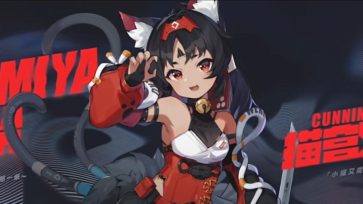 【猫又pv翻配】能不能体贴一下猫猫呀