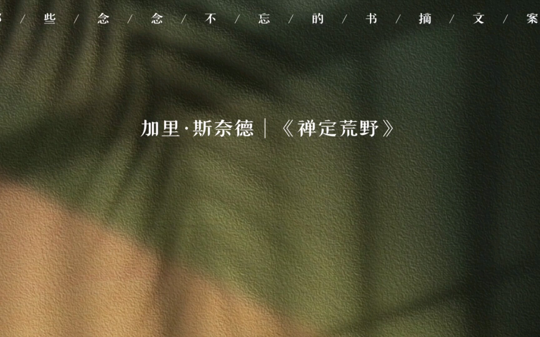 加里·斯奈德《禅定荒野》