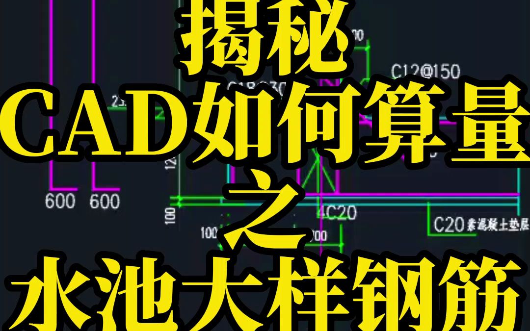 揭秘CAD如何算量之水池大样钢筋哔哩哔哩bilibili