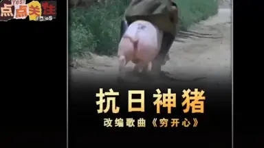 猪神vs-哔哩哔哩_Bilibili