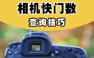 Download Video: 相机快门数、查询技巧！