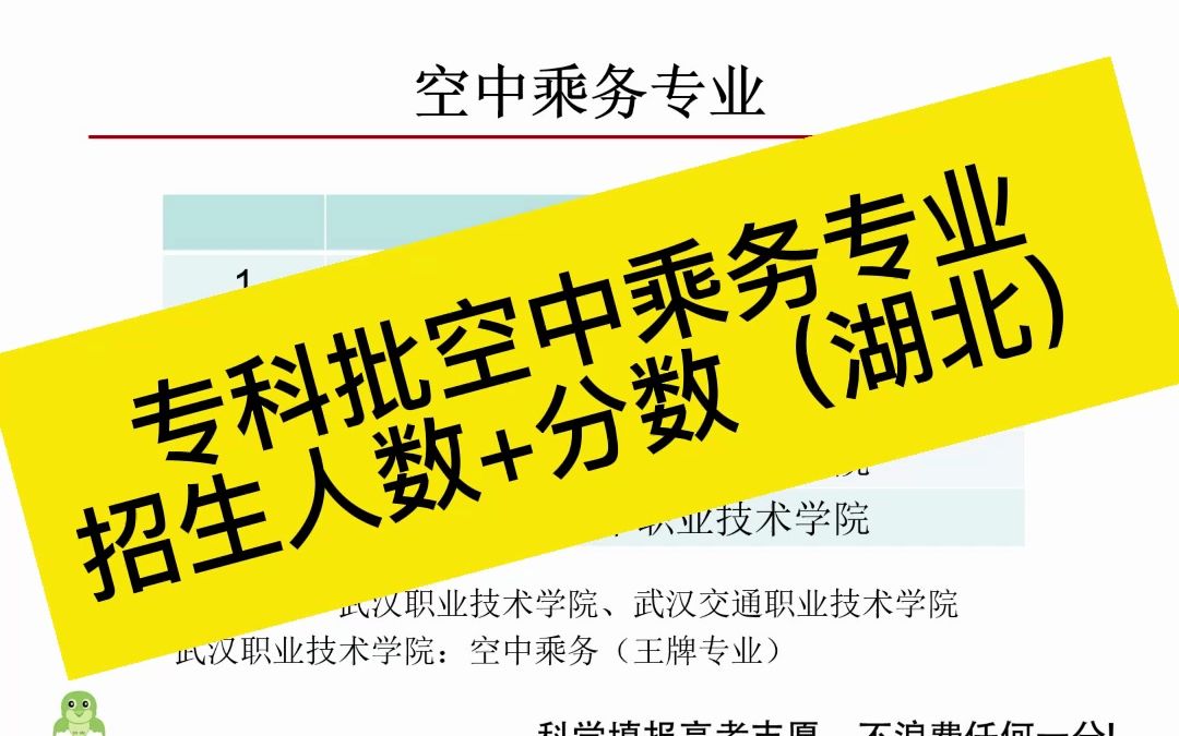 专科批空中乘务专业值不值得报?湖北开设空中乘务专业高职院校招生人数和分数哔哩哔哩bilibili