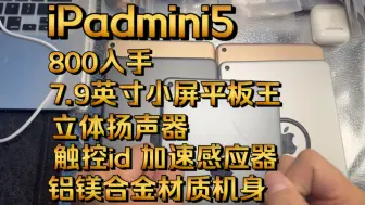 800左右就能入手ipadmini5 真的白菜价了 百元小屏平板天花板 你有什么理由不选它？！！