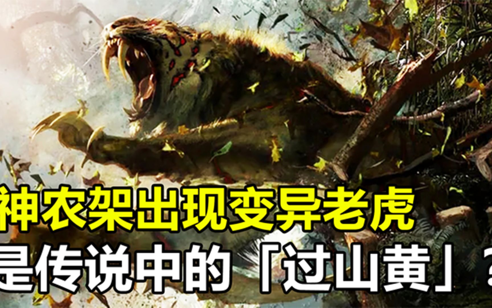 神农架出现变异老虎可能是罕见的过山黄究竟怎么回事