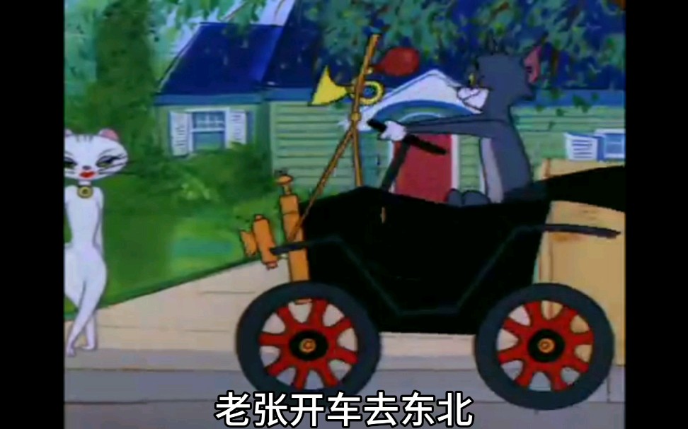 猫鼠东北人都是活雷锋