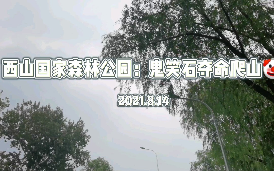 日常出游|鬼笑石是西山上的一块石头哔哩哔哩bilibili