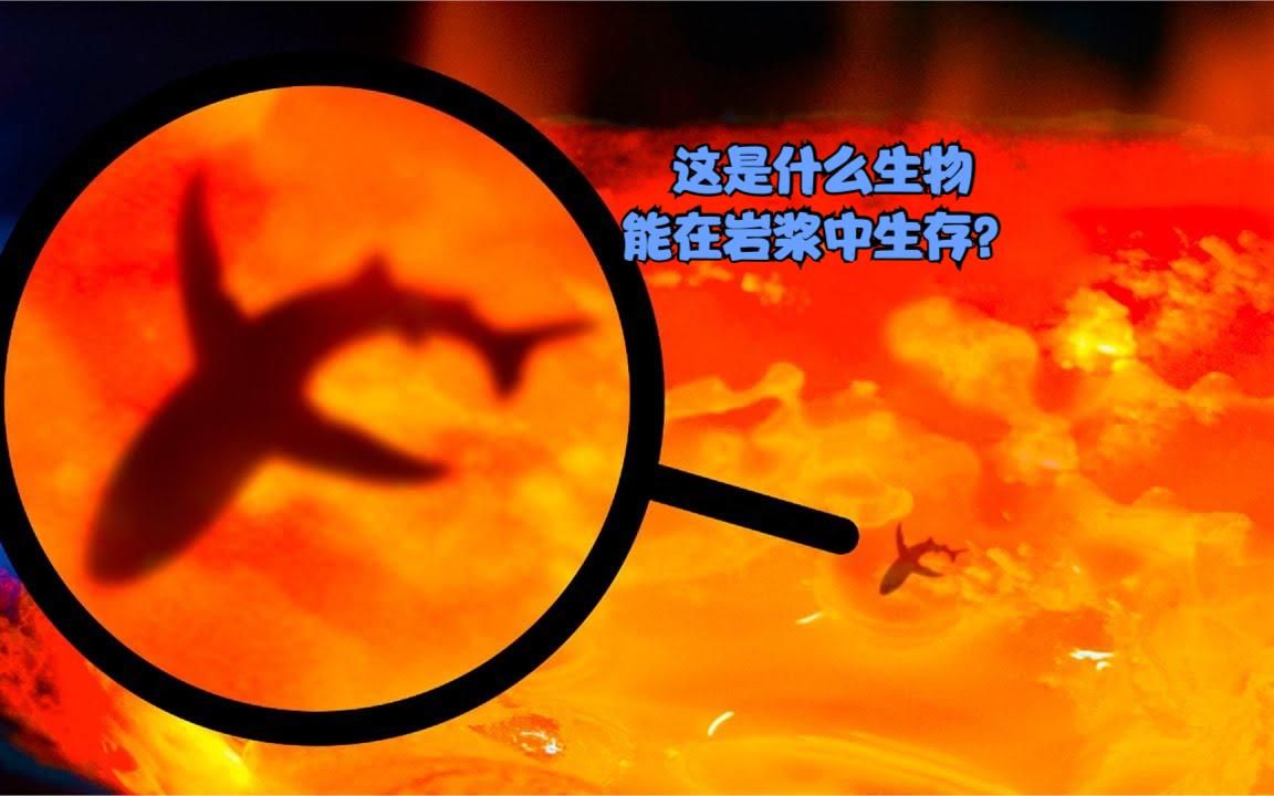 岩浆里到底是什么生物?世界最活跃4大活火山,谁也不止何时爆发