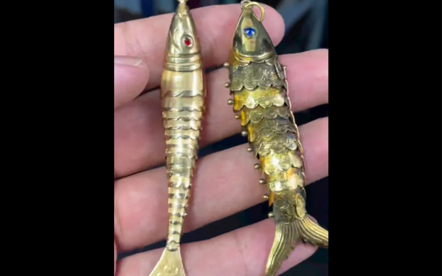 古董珠宝鱼的可爱造型大揭秘!你见过这些可爱的鱼吗?