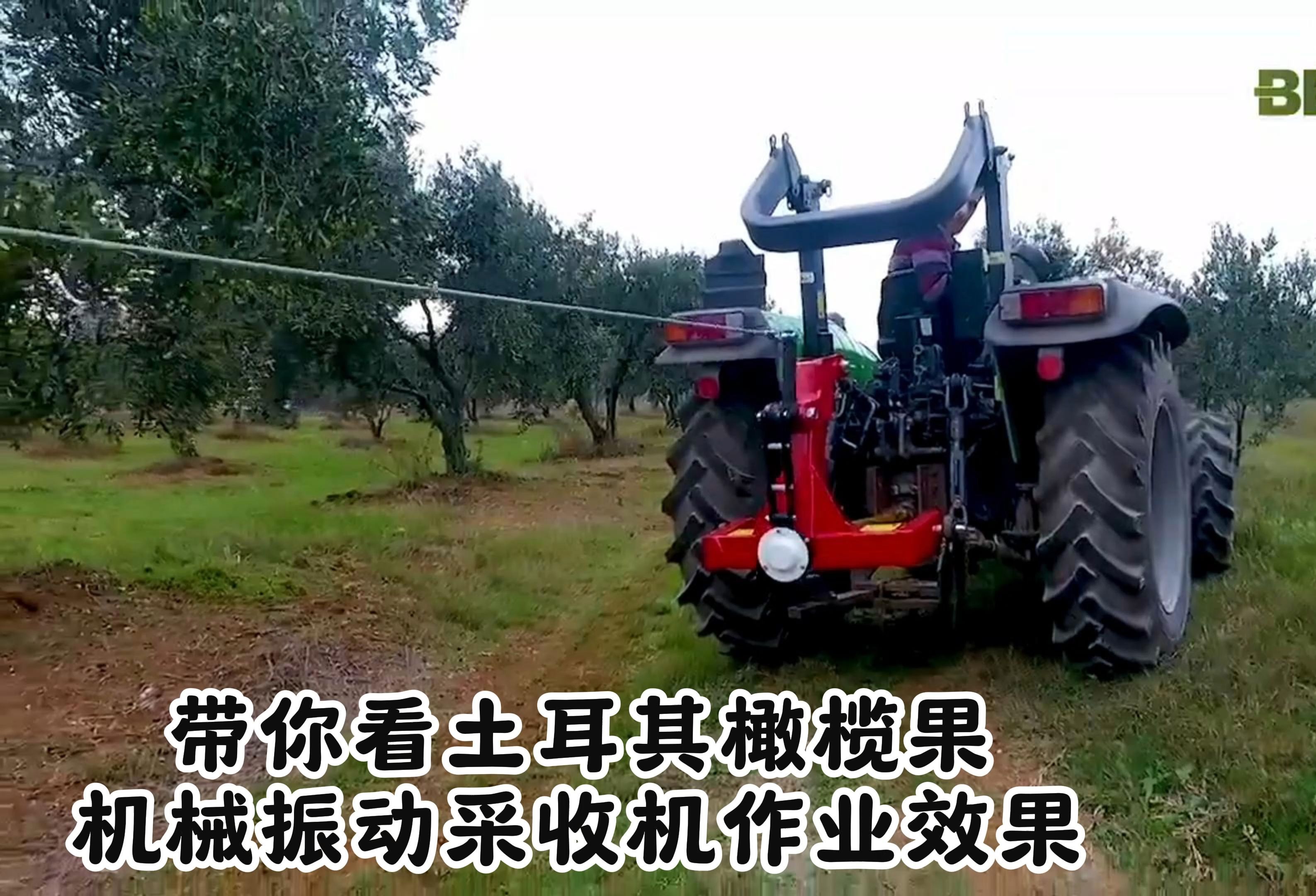 树上打核桃机器图片