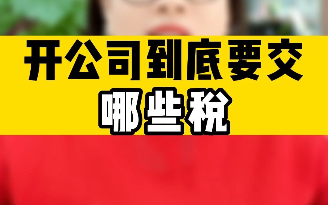 开公司到底要交哪些税?哔哩哔哩bilibili