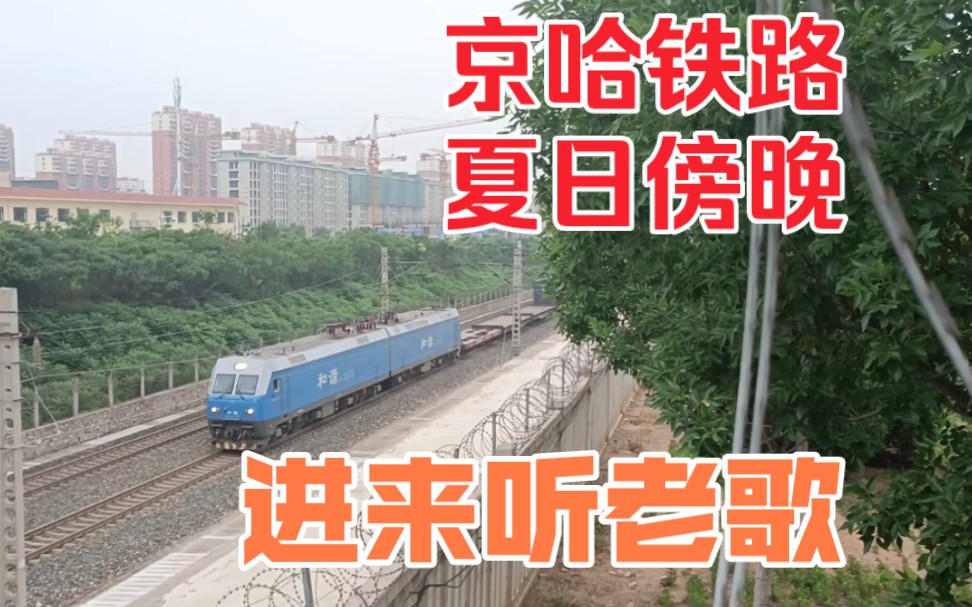 【听歌识曲加拍车】京哈铁路的夏日傍晚
